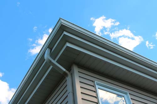 hail damaged shingles