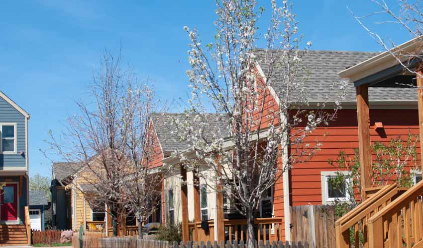 mountain homes and cabins