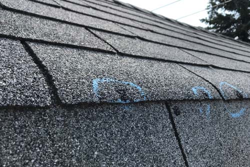 hail damaged shingles