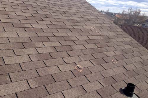 damaged shingles that have been marked